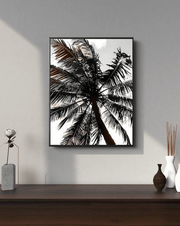 Palm Silhouettes